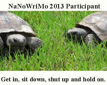nano turtles
